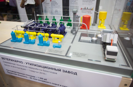 Завод по утилизации биоотходов